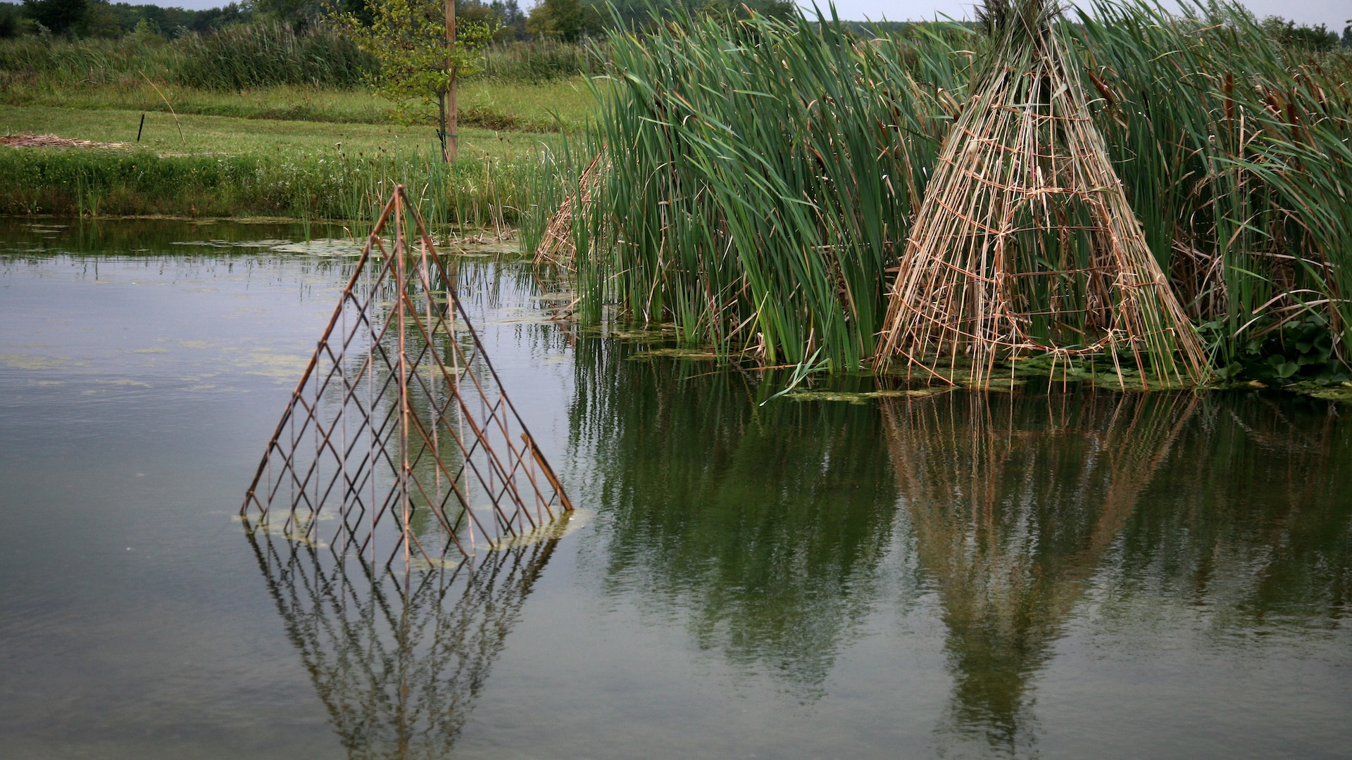 Land Art bamboo and swamp Alejandro Guzzetti